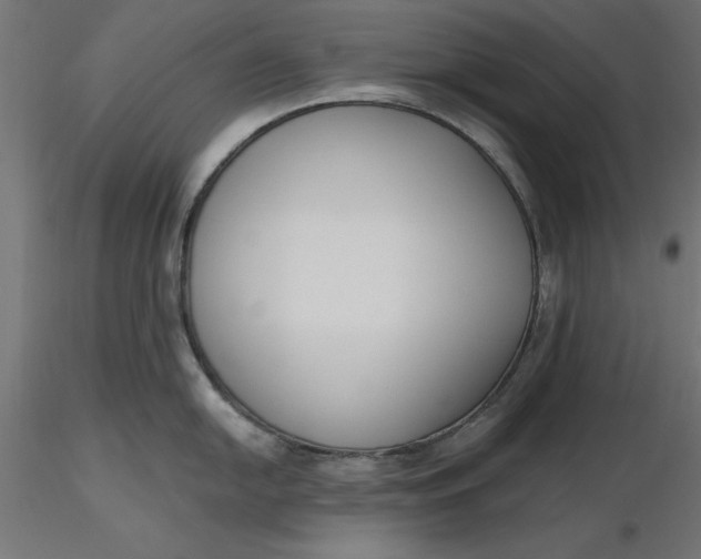 X0000116651054200912291612