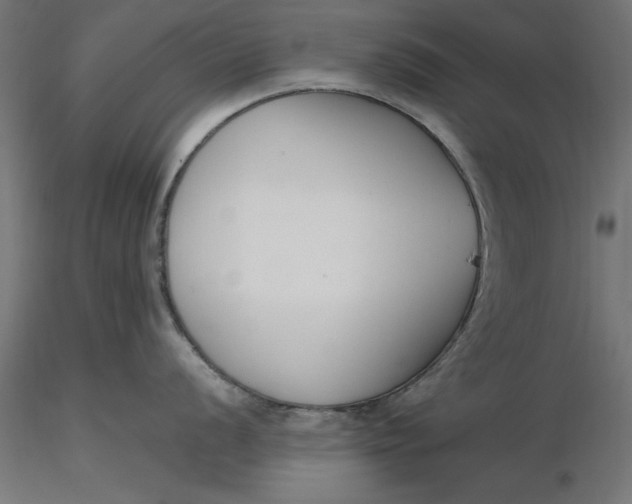 X0000116651056200912291612