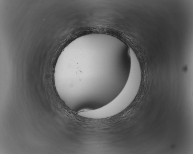 X0000116651057200912291611