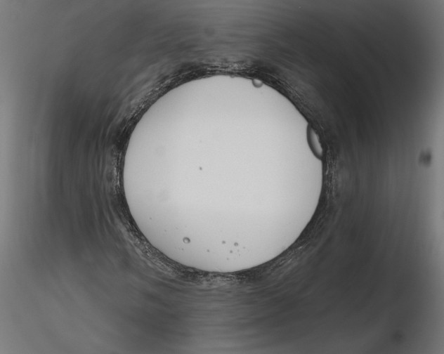 X0000116651058200912291611