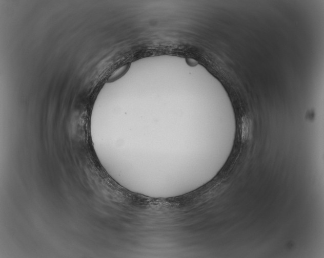 X0000116651059200912291611