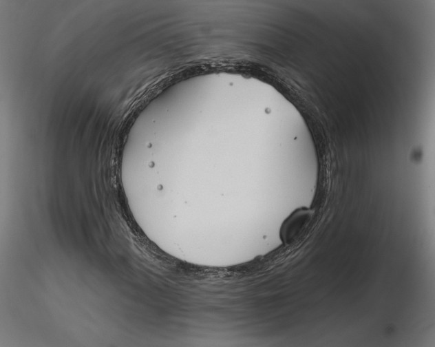 X0000116651060200912291611