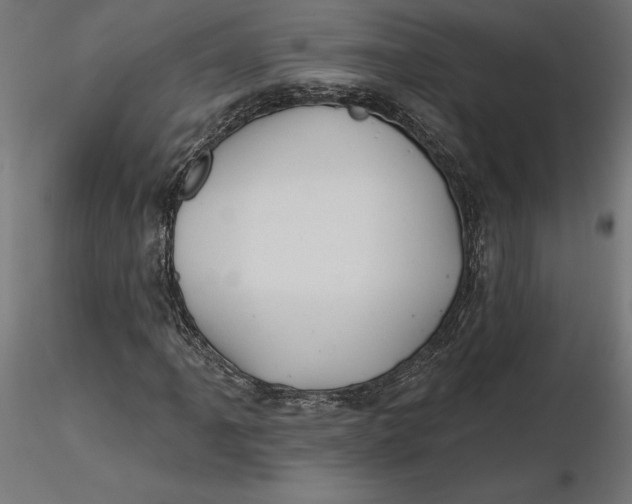 X0000116651061200912291611