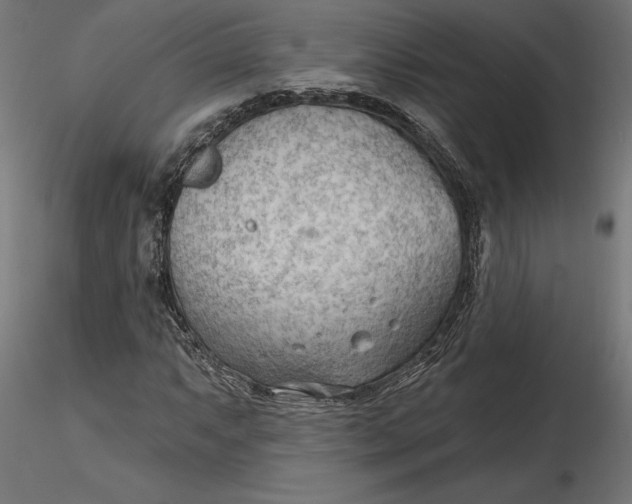 X0000116651063200912291611