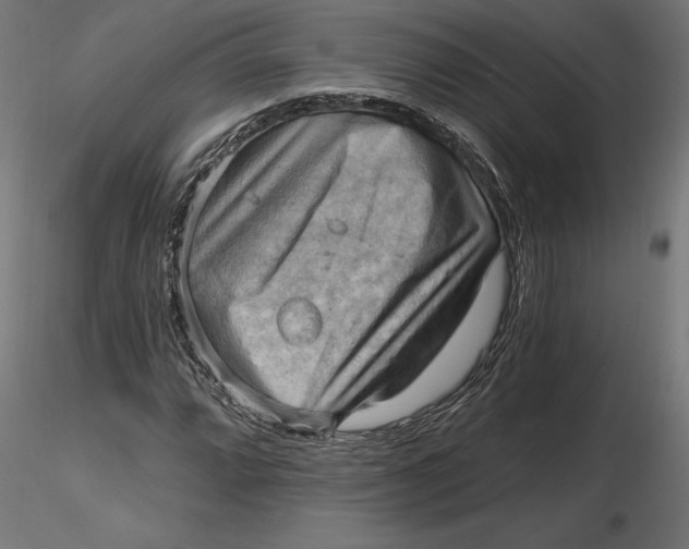 X0000116651064200912291611