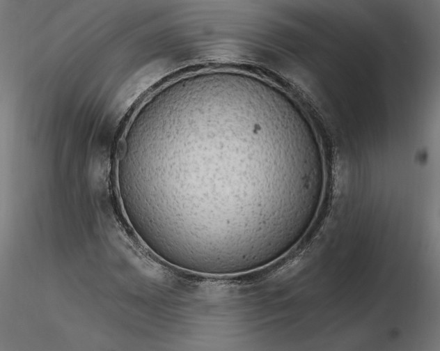 X0000116651065200912291611