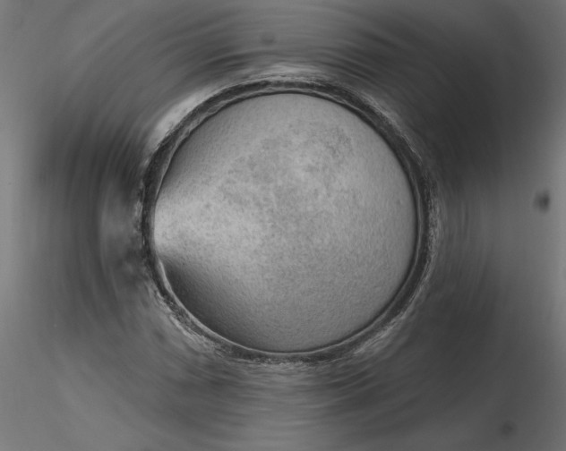 X0000116651066200912291611