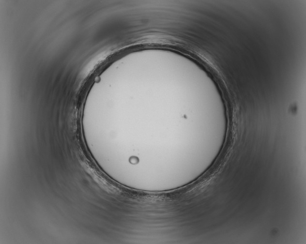 X0000116651067200912291611