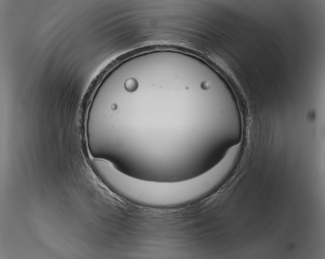 X0000116651068200912291611