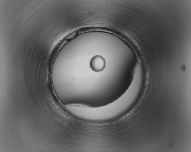 X0000116651069200912291611