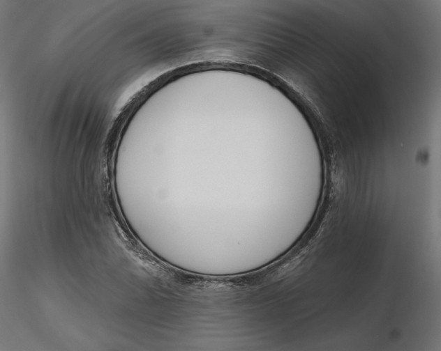 X0000116651070200912291611