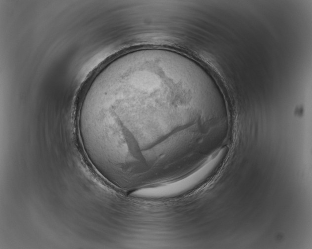 X0000116651071200912291611