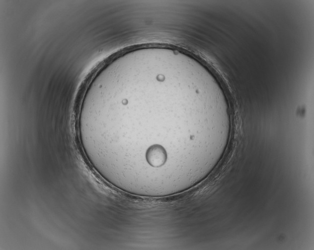 X0000116651072200912291611