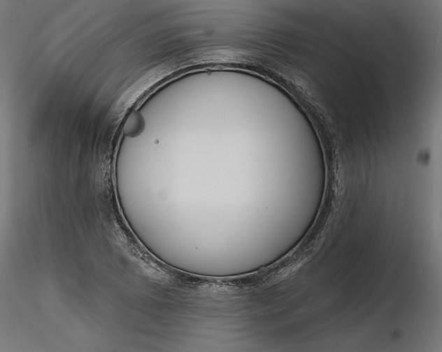 X0000116651073200912291611