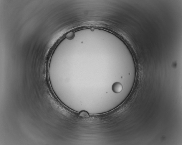 X0000116651075200912291611