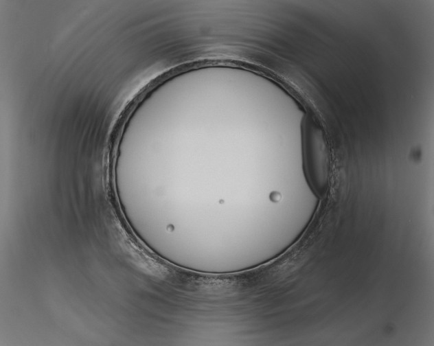 X0000116651076200912291611