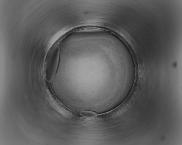 X0000116651077200912291611