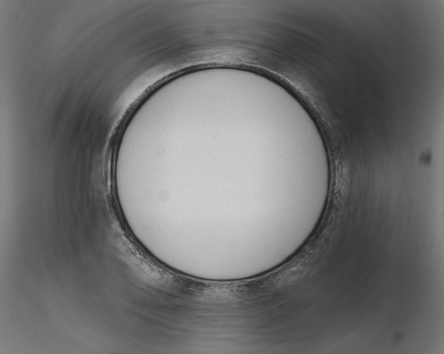 X0000116651078200912291611