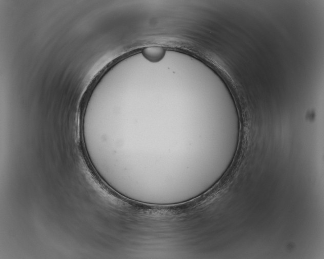 X0000116651079200912291611