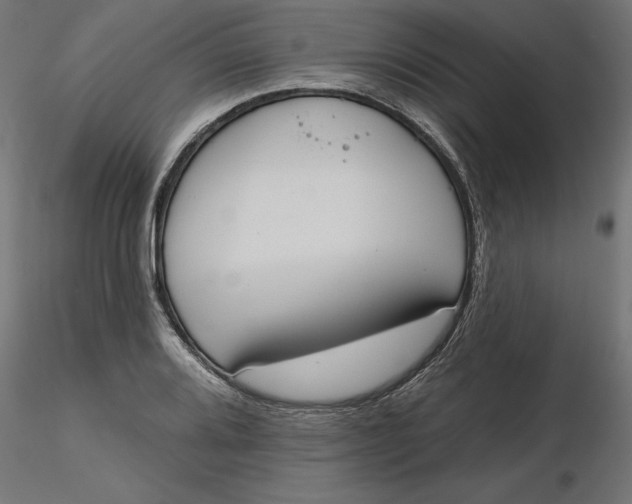 X0000116651080200912291611