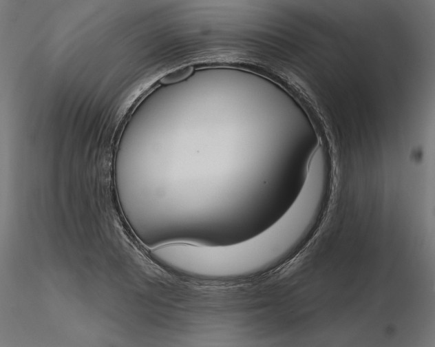 X0000116651081200912291611