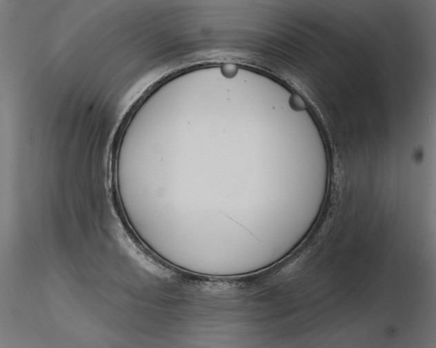 X0000116651082200912291611