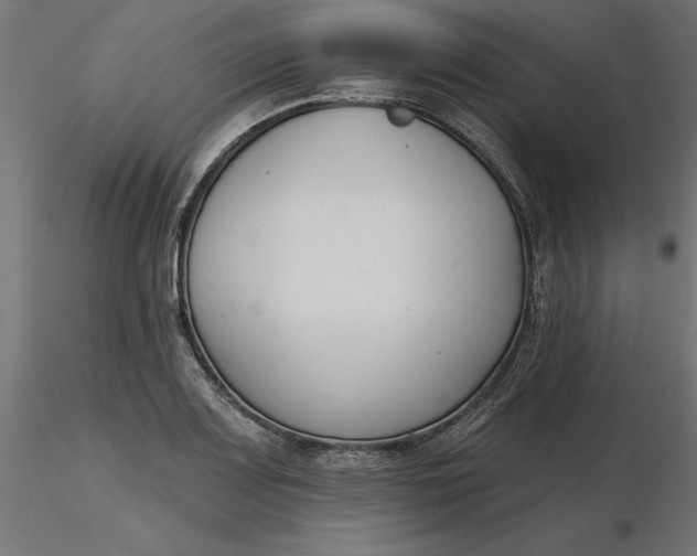 X0000116651083200912291611