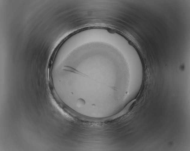 X0000116651084200912291611