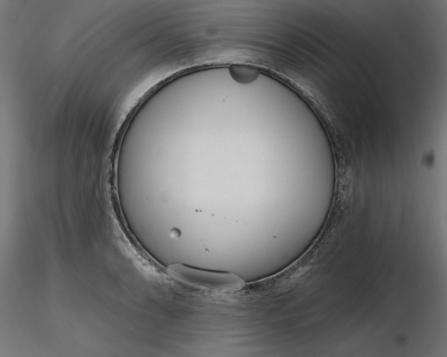 X0000116651086200912291611