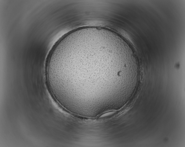 X0000116651087200912291611