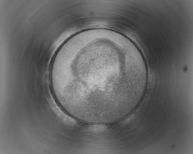 X0000116651090200912291611