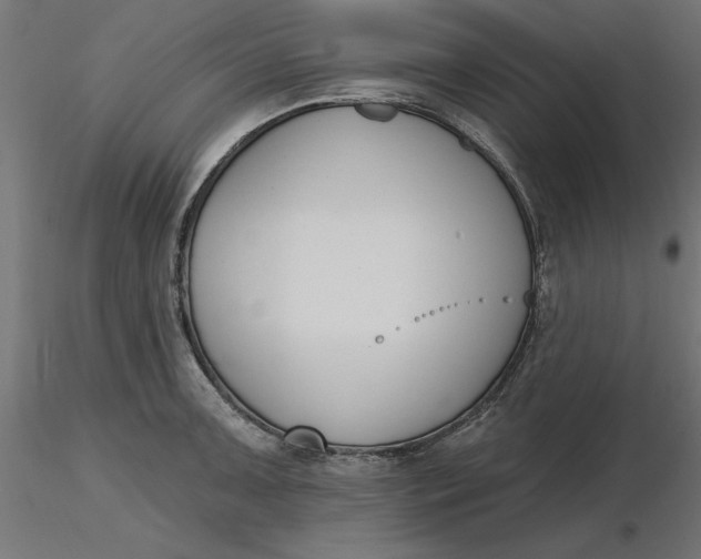 X0000116651091200912291611