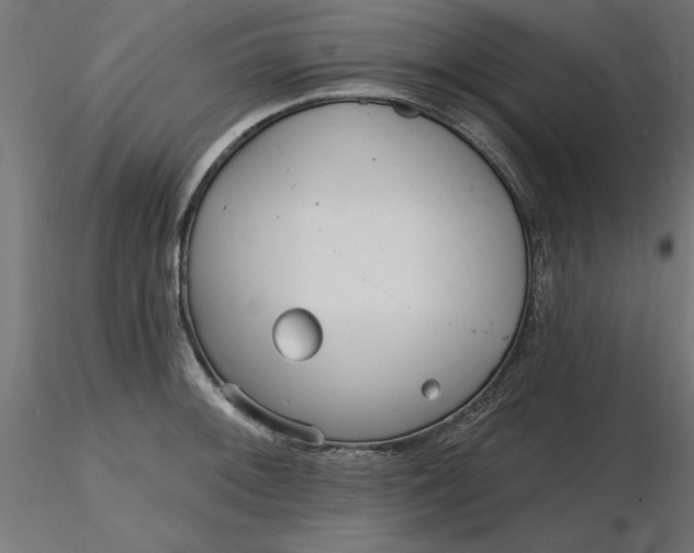 X0000116651092200912291611