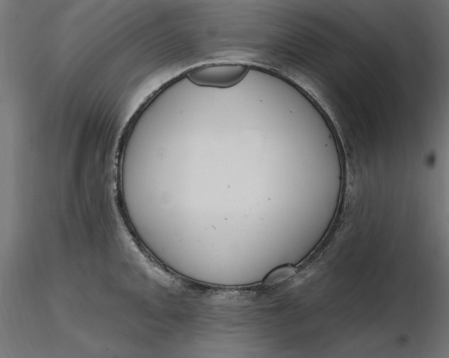 X0000116651093200912291611