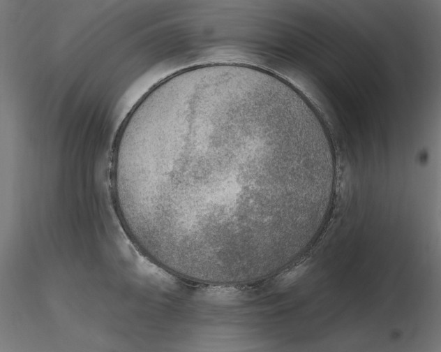 X0000116651094200912291611