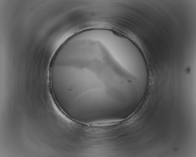 X0000116651095200912291611