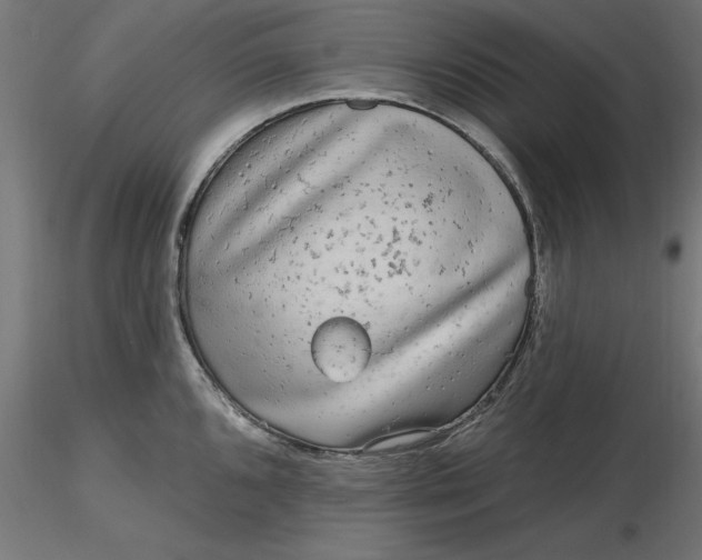 X0000116651096200912291611