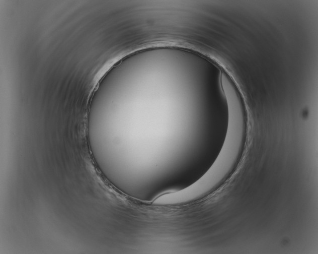 X0000116651097200912291611