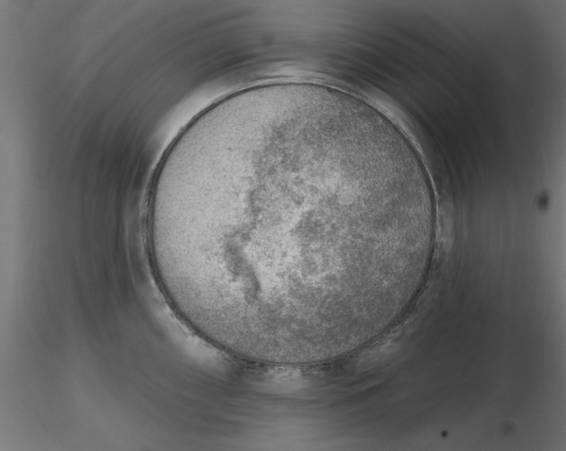 X0000116651098200912291611