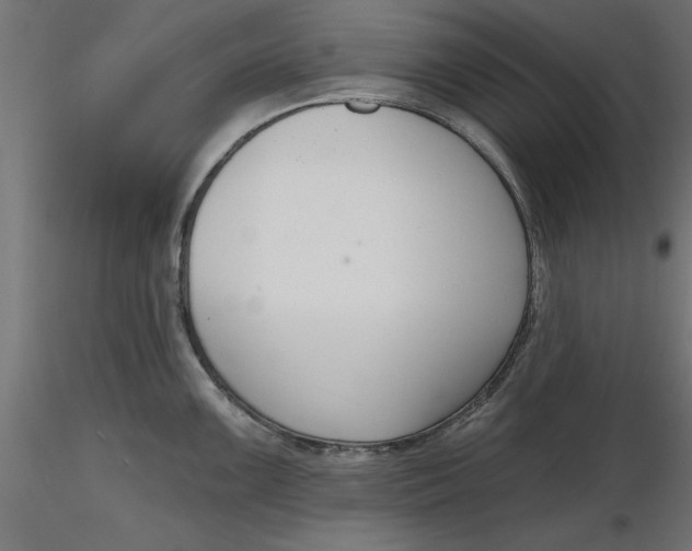 X0000116651099200912291611