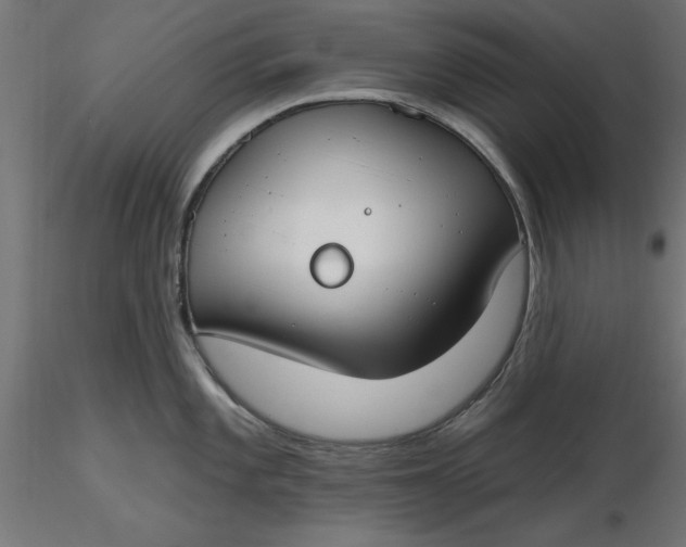 X0000116651101200912291611