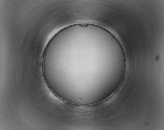 X0000116651102200912291611