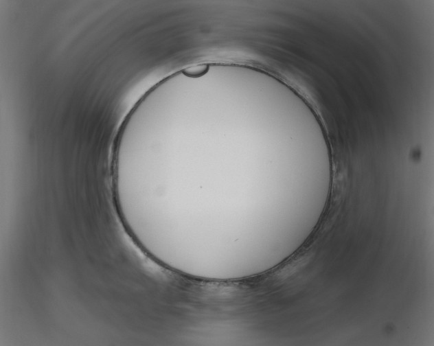 X0000116651103200912291611