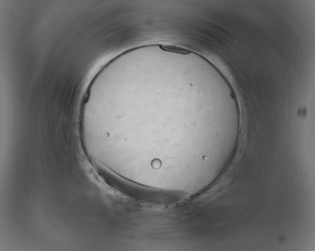 X0000116651104200912291611