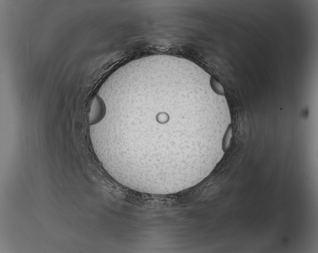 X0000116651105200912291610