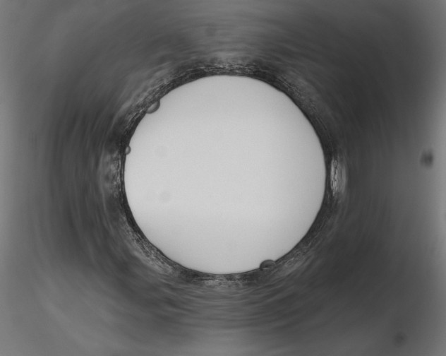 X0000116651107200912291610