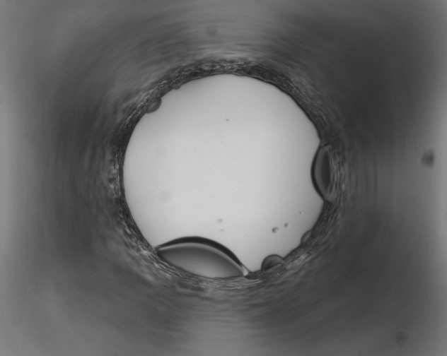 X0000116651109200912291610