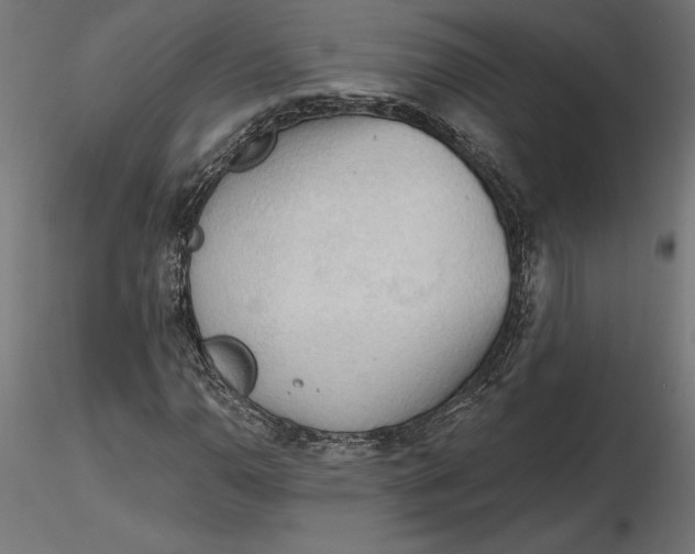X0000116651110200912291610