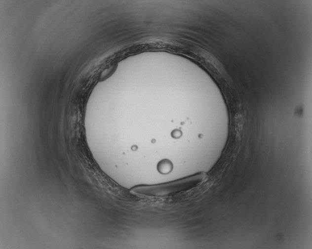 X0000116651111200912291610