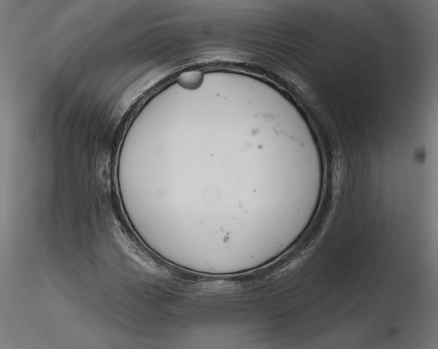 X0000116651113200912291610